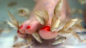 fish feet