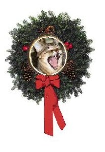 leo wreath