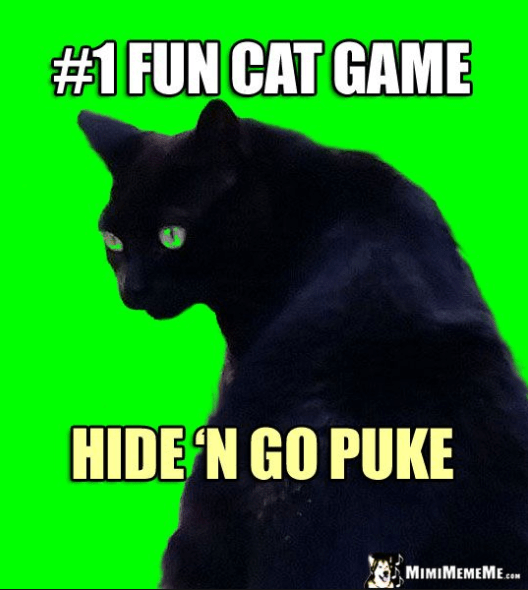 cat game